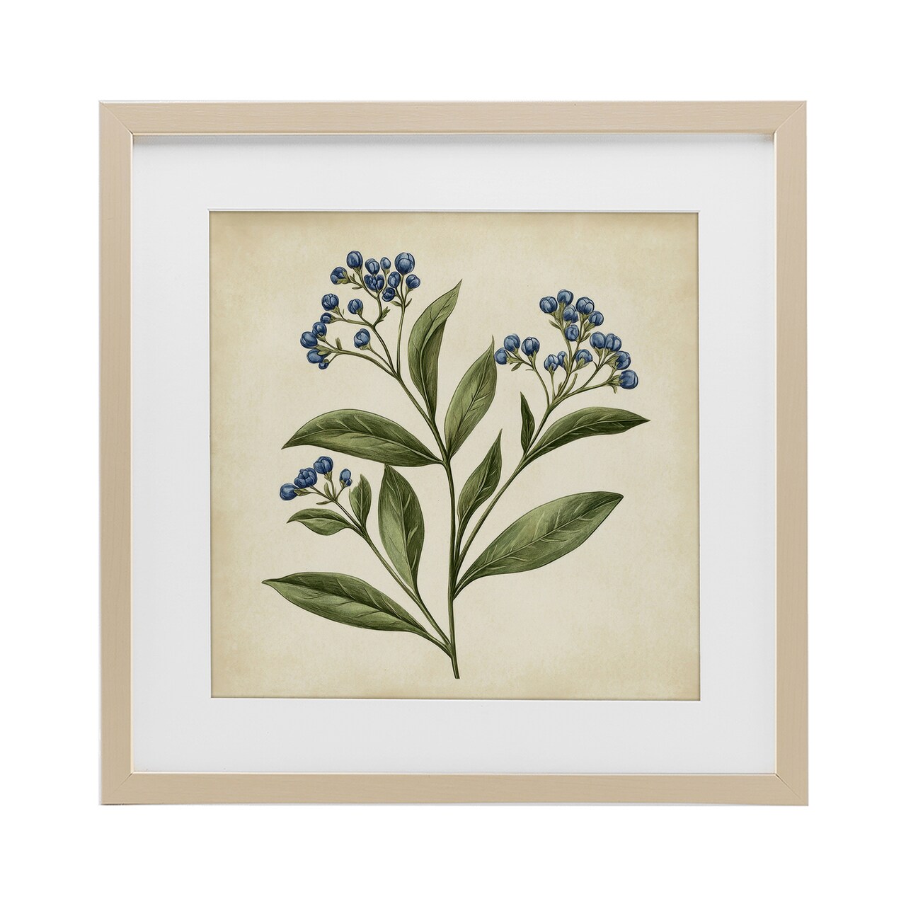 Stupell Industries Blue Buds Botanical Illustration Framed Print Under Glass, design by Petal Prints Design